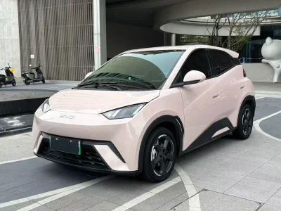 BYD Seagull