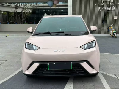 BYD Seagull
