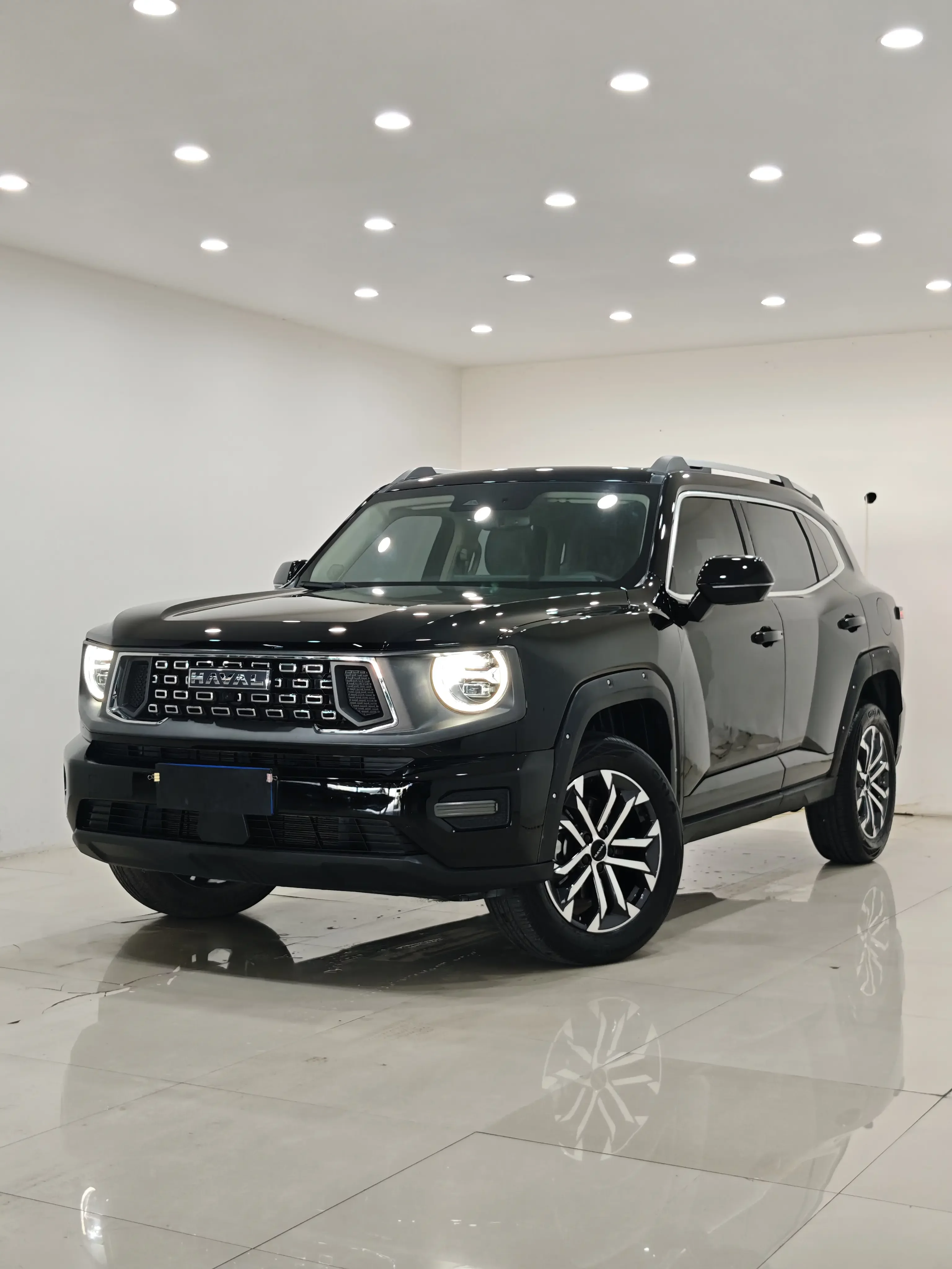 Haval H-Dog