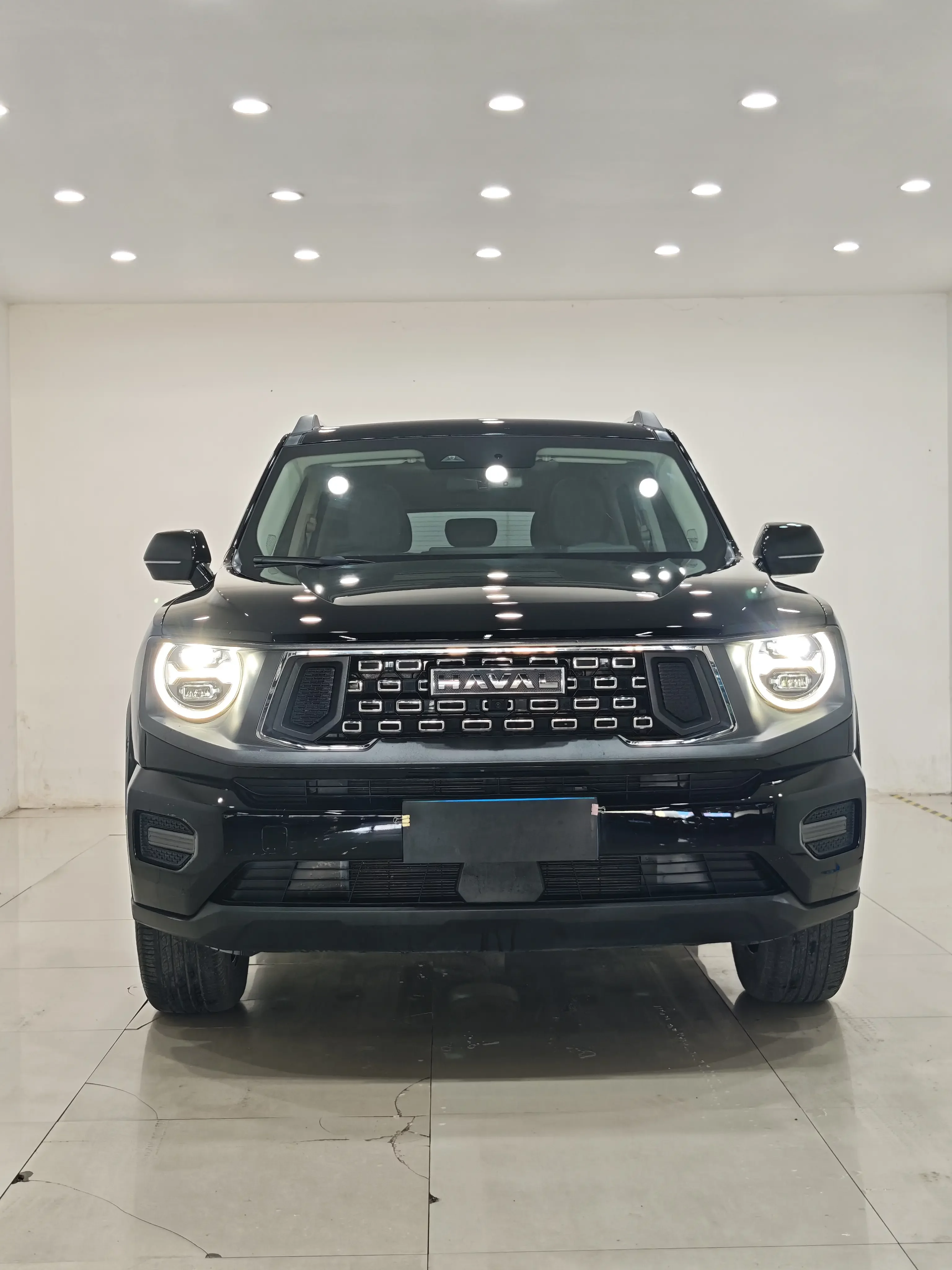 Haval H-Dog