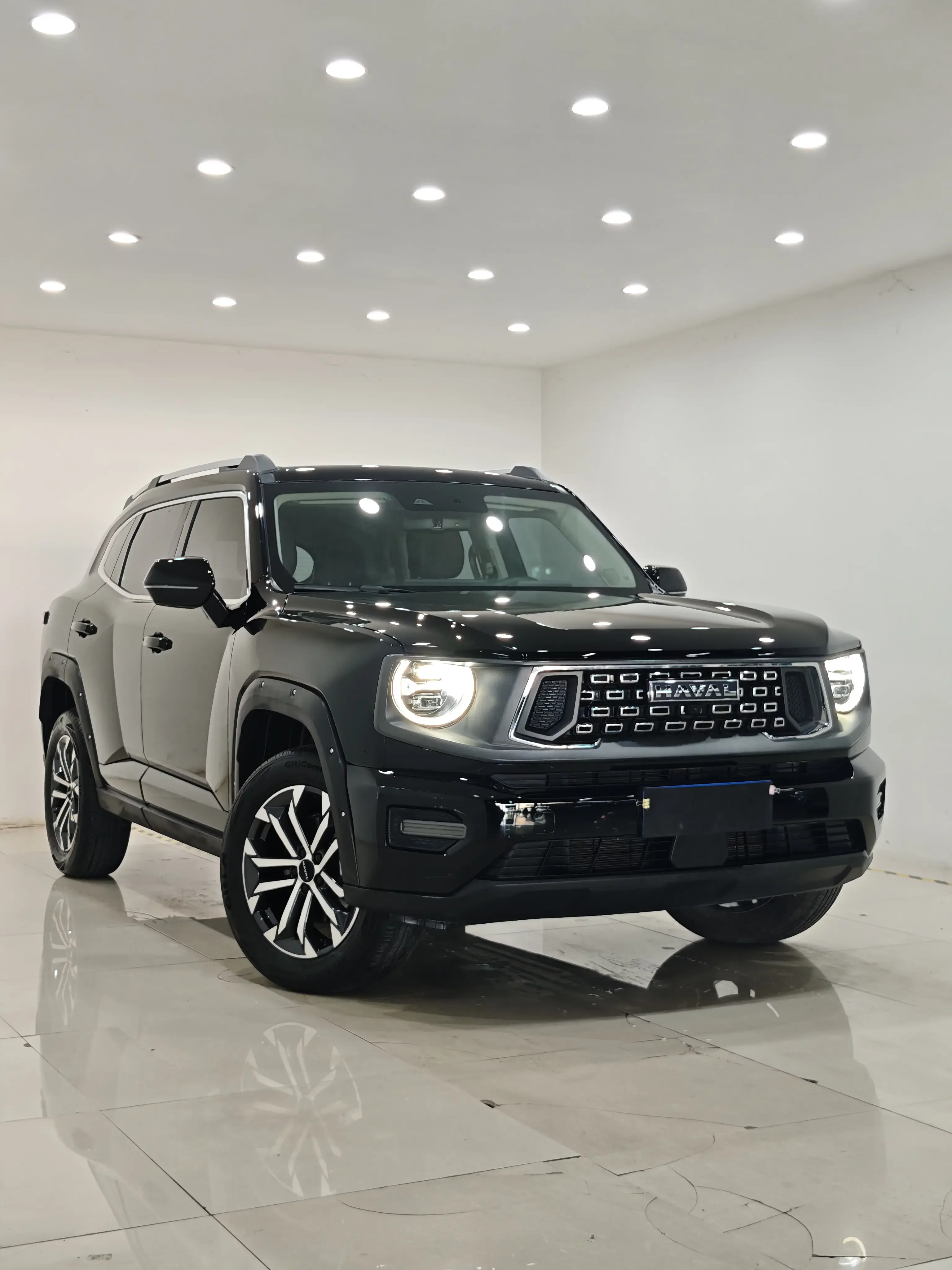 Haval H-Dog