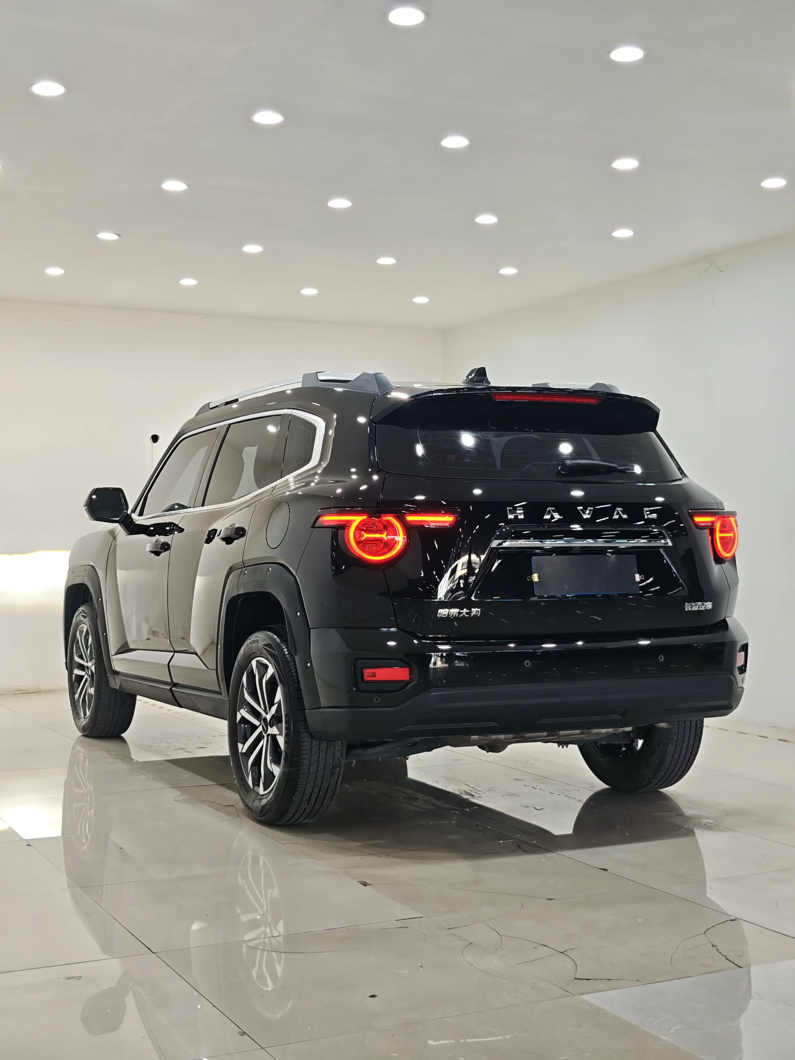 Haval H-Dog