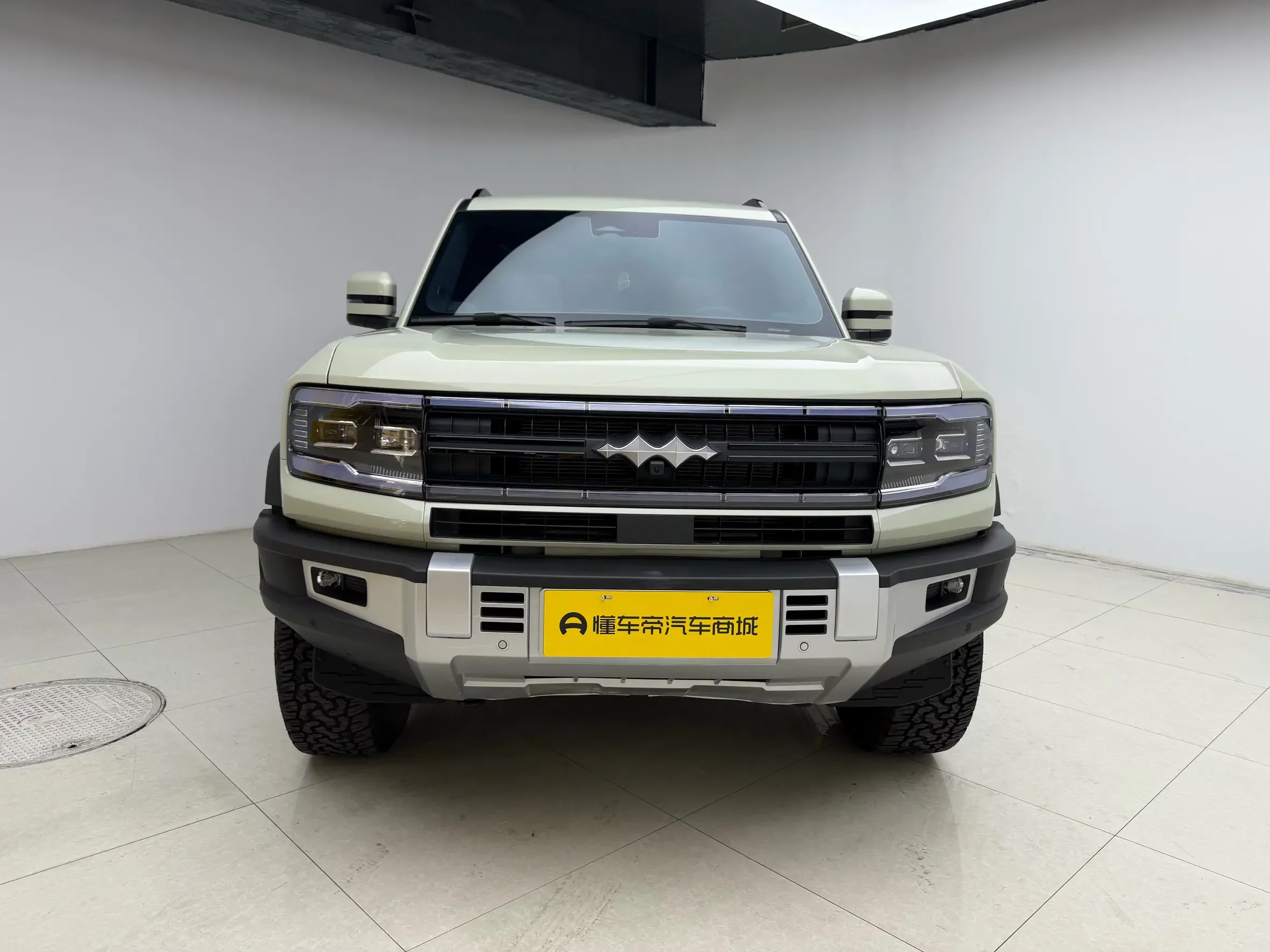 BYD Leopard Leopard 5