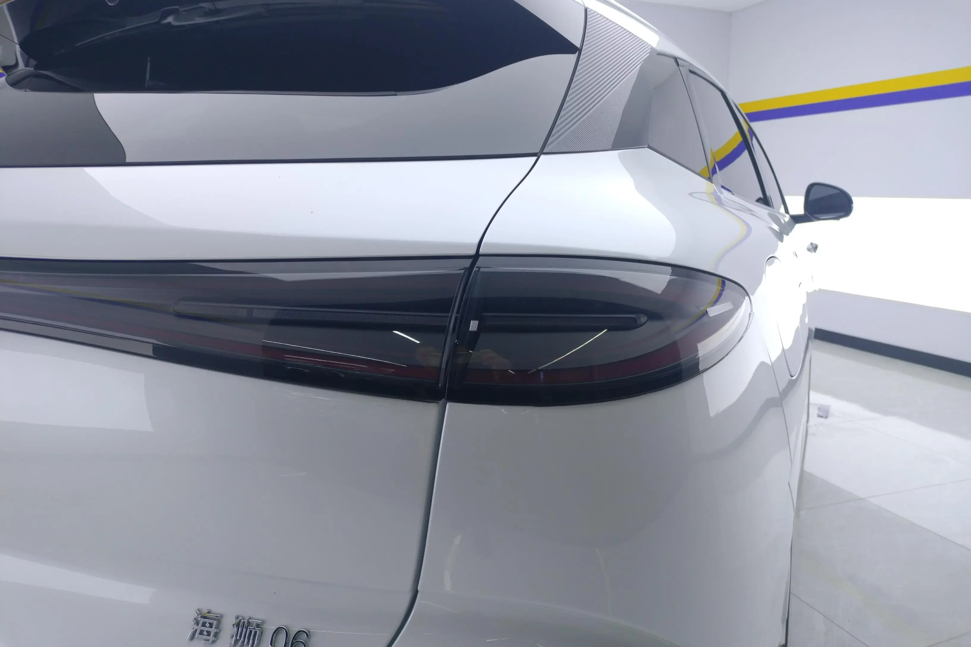 BYD Sea Lion 06DM