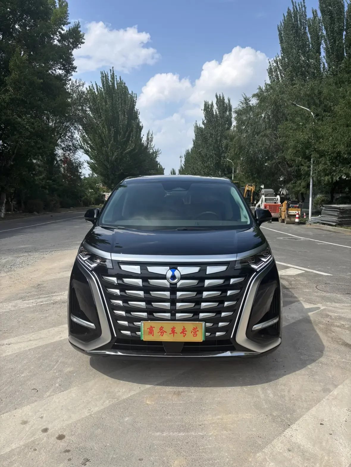 Denza D9 DM