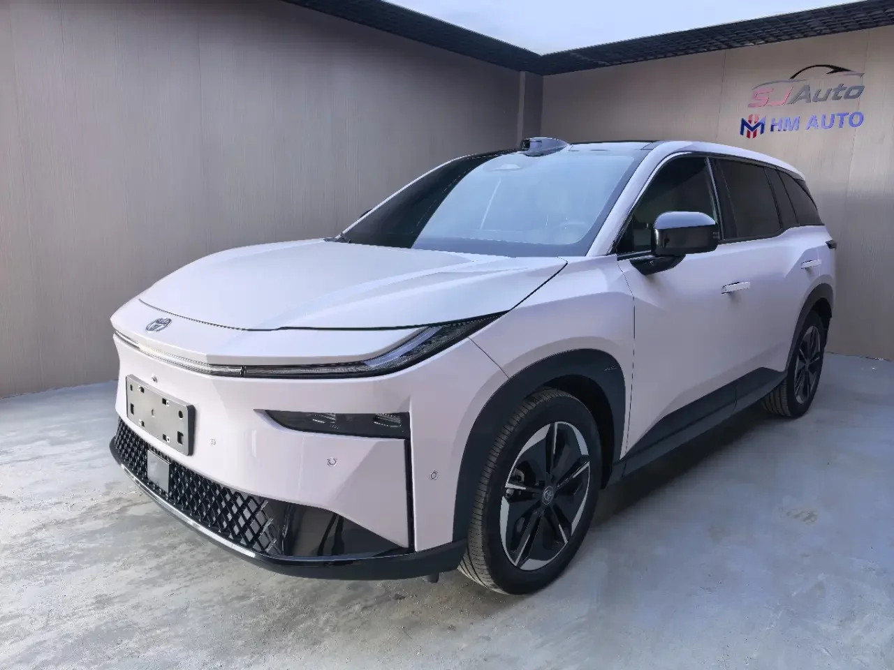 Toyota Bozhi 3X