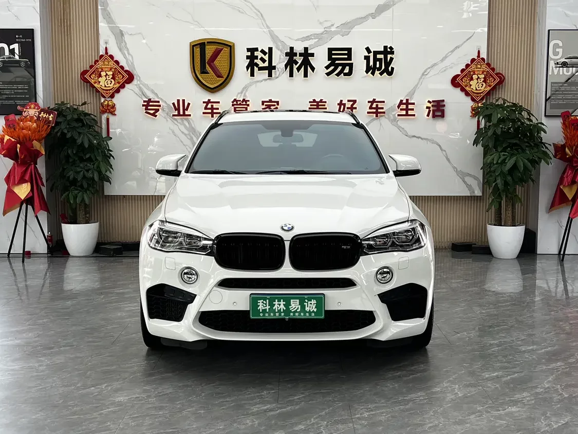 BMW X6 M
