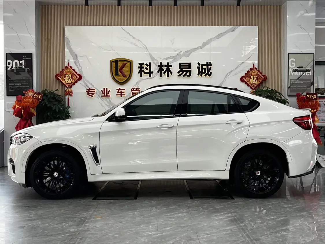 BMW X6 M