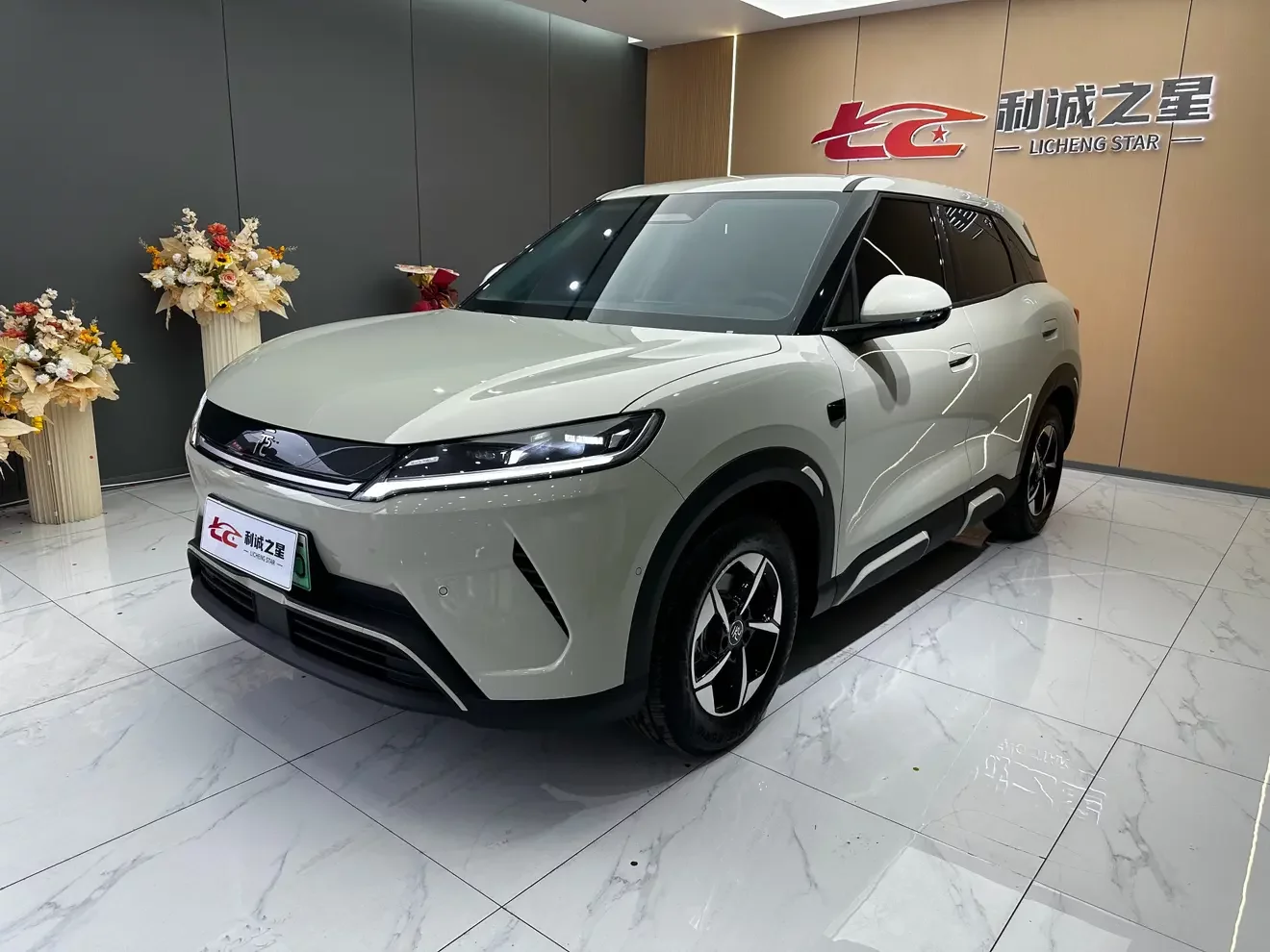 BYD Yuan UP