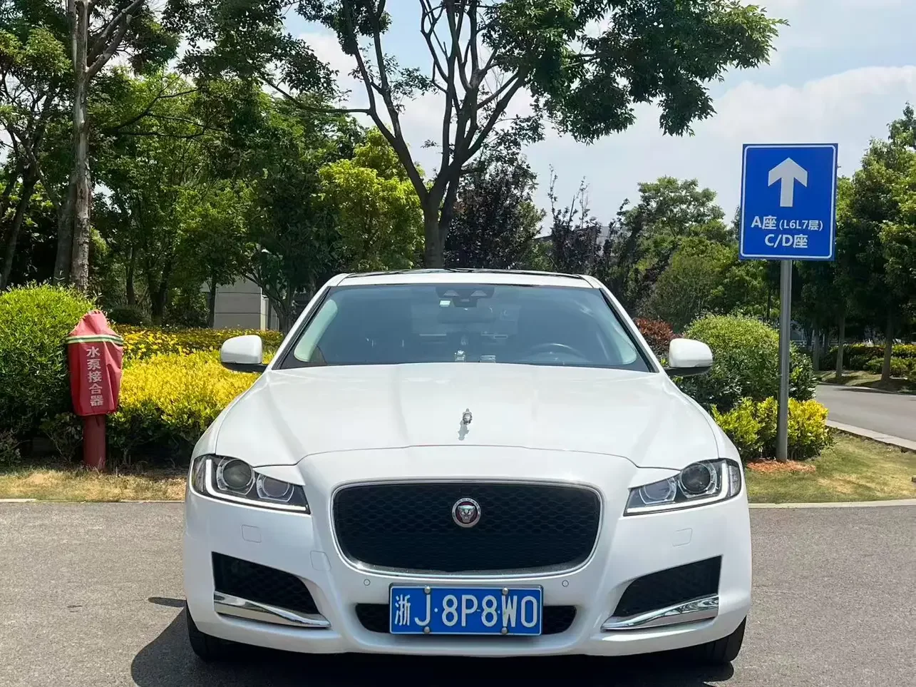 Jaguar XFL