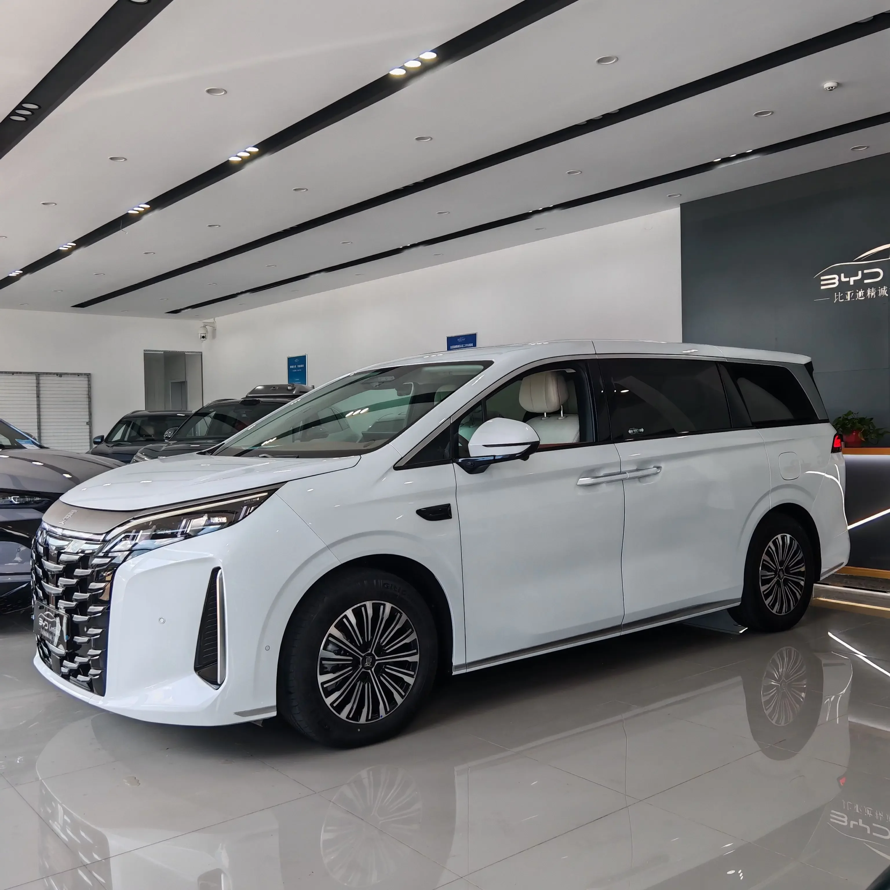 BYD Xia