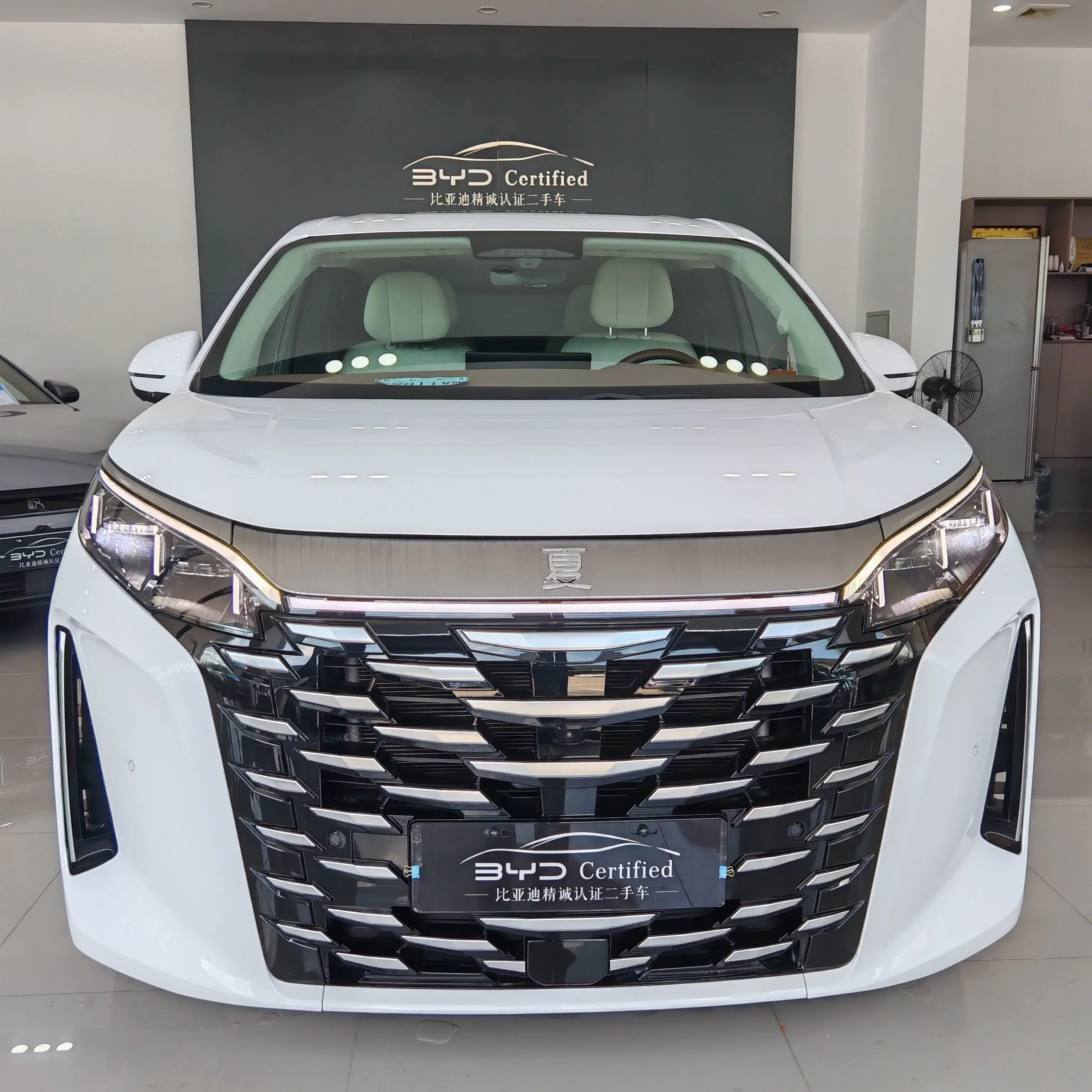 BYD Xia