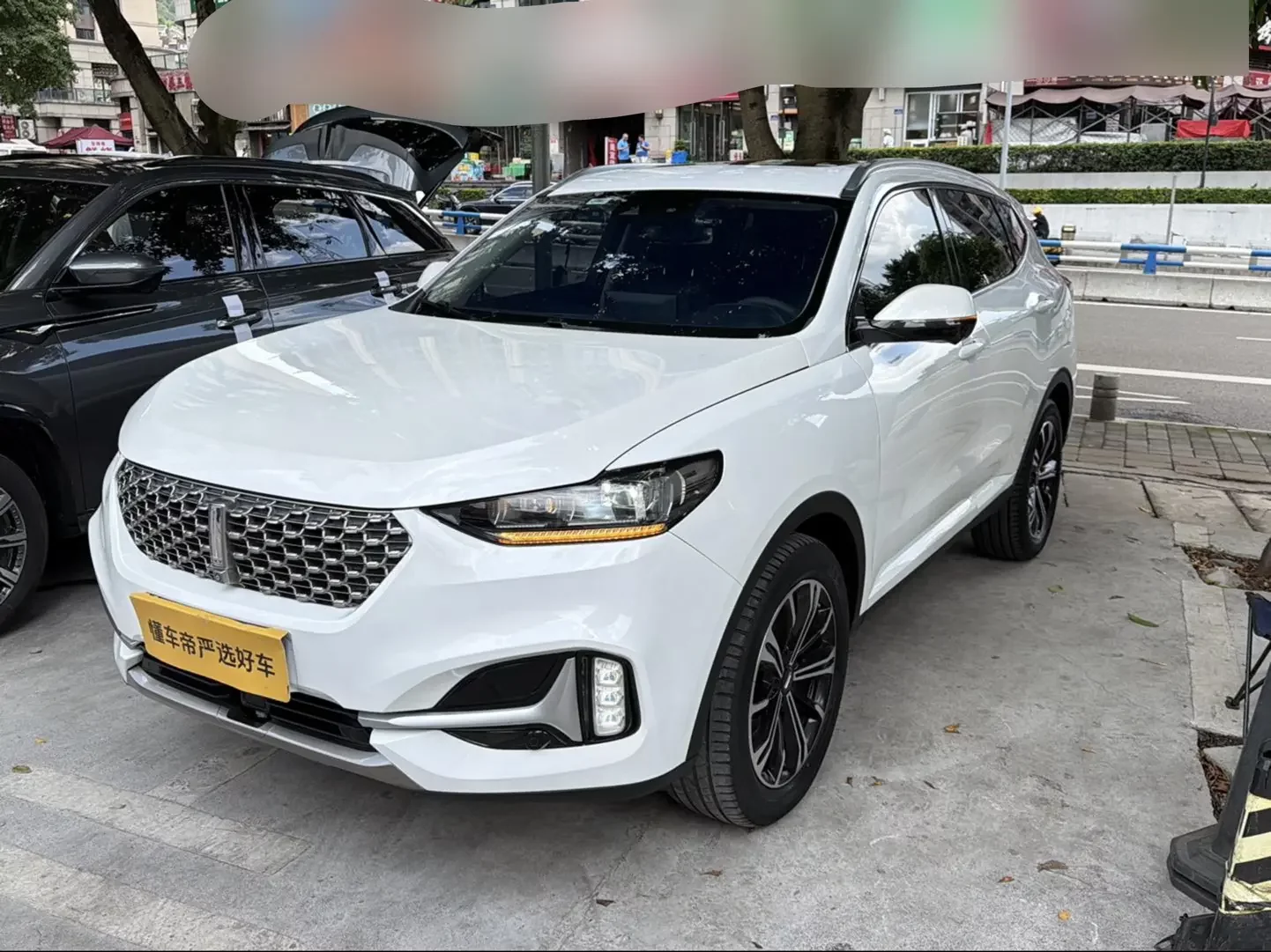 Wey Wei brand VV6