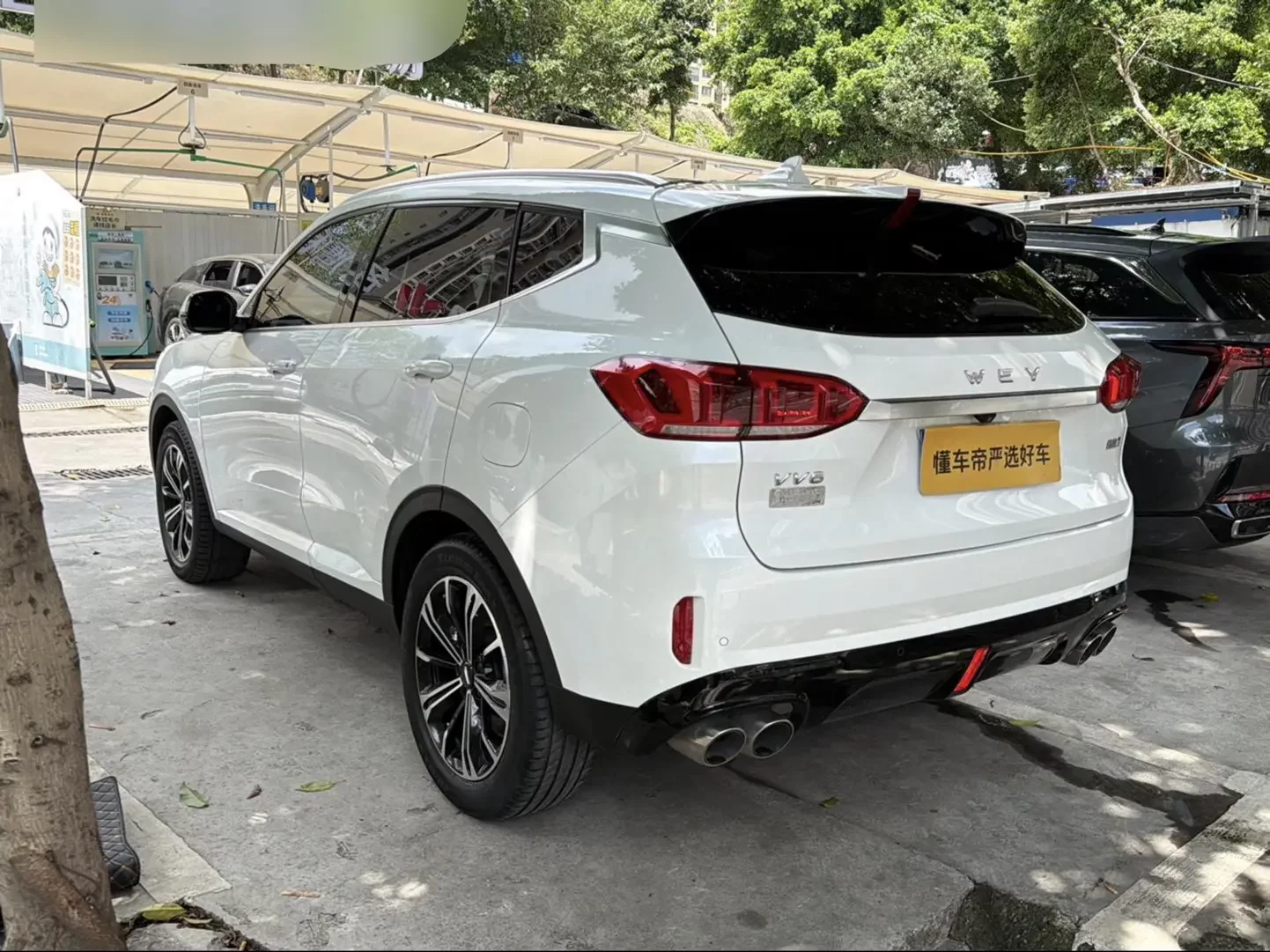 Wey Wei brand VV6