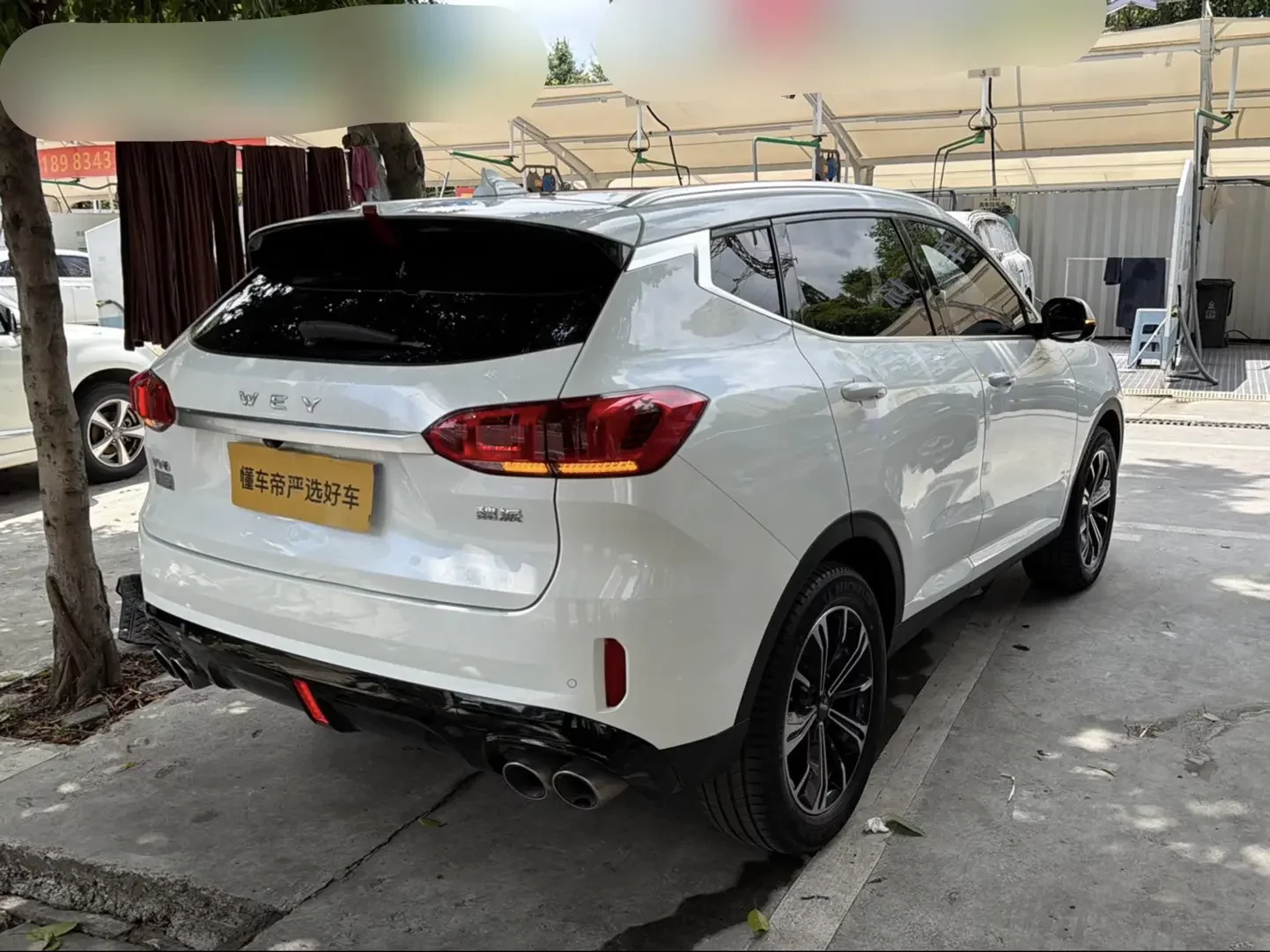 Wey Wei brand VV6