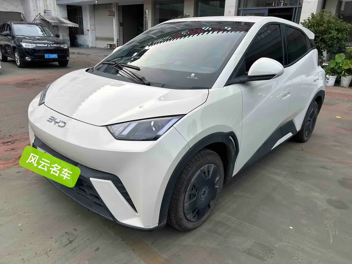 BYD seagull