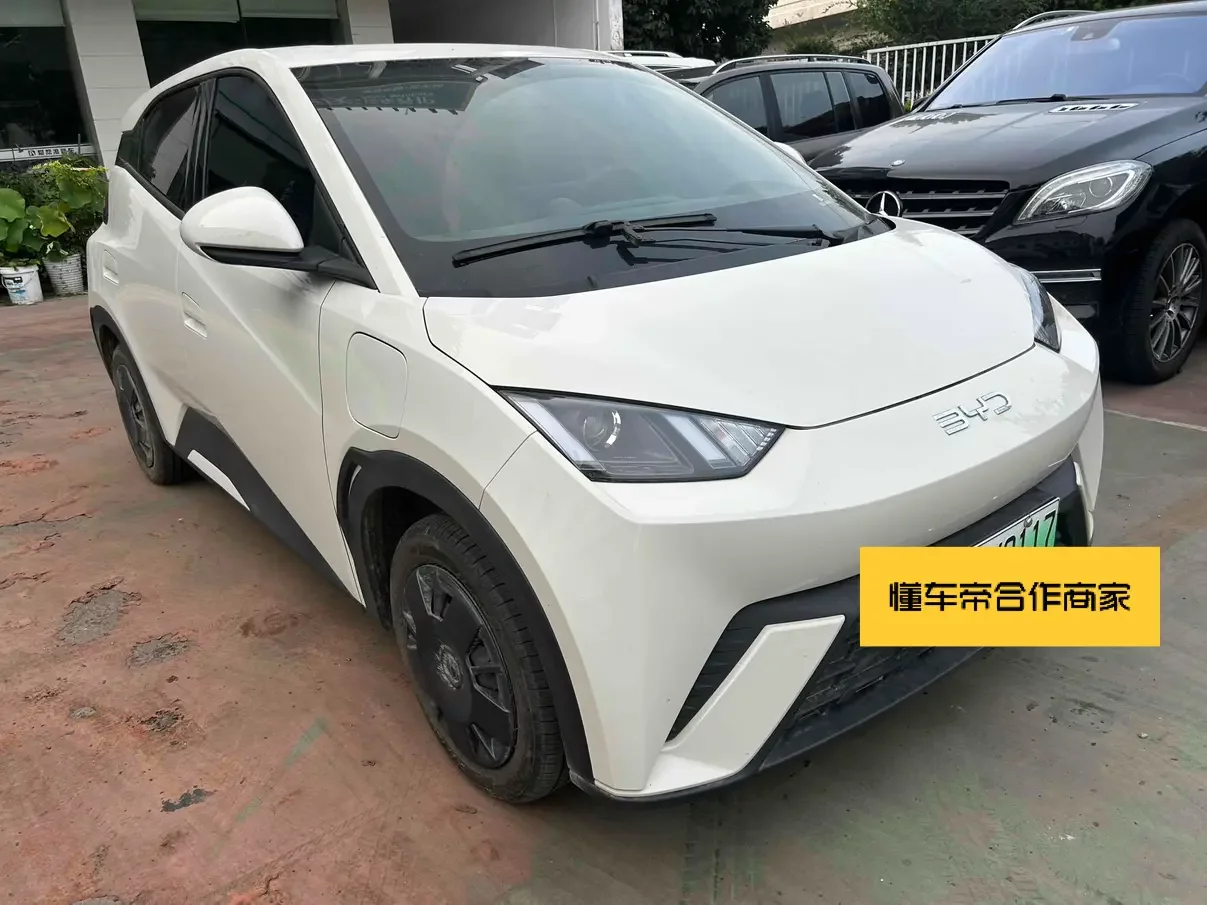 BYD seagull
