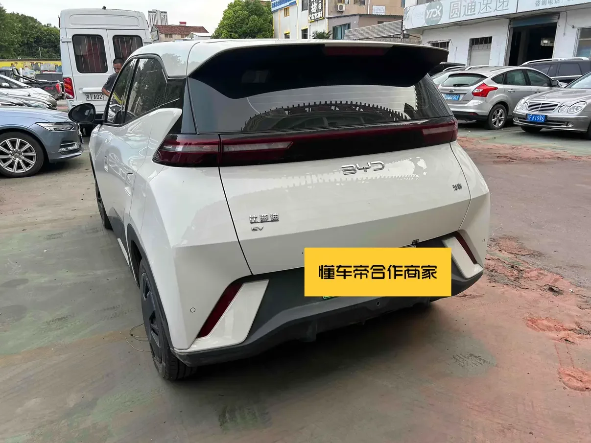 BYD seagull