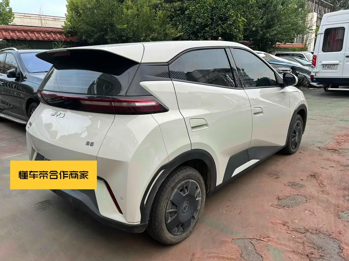BYD seagull