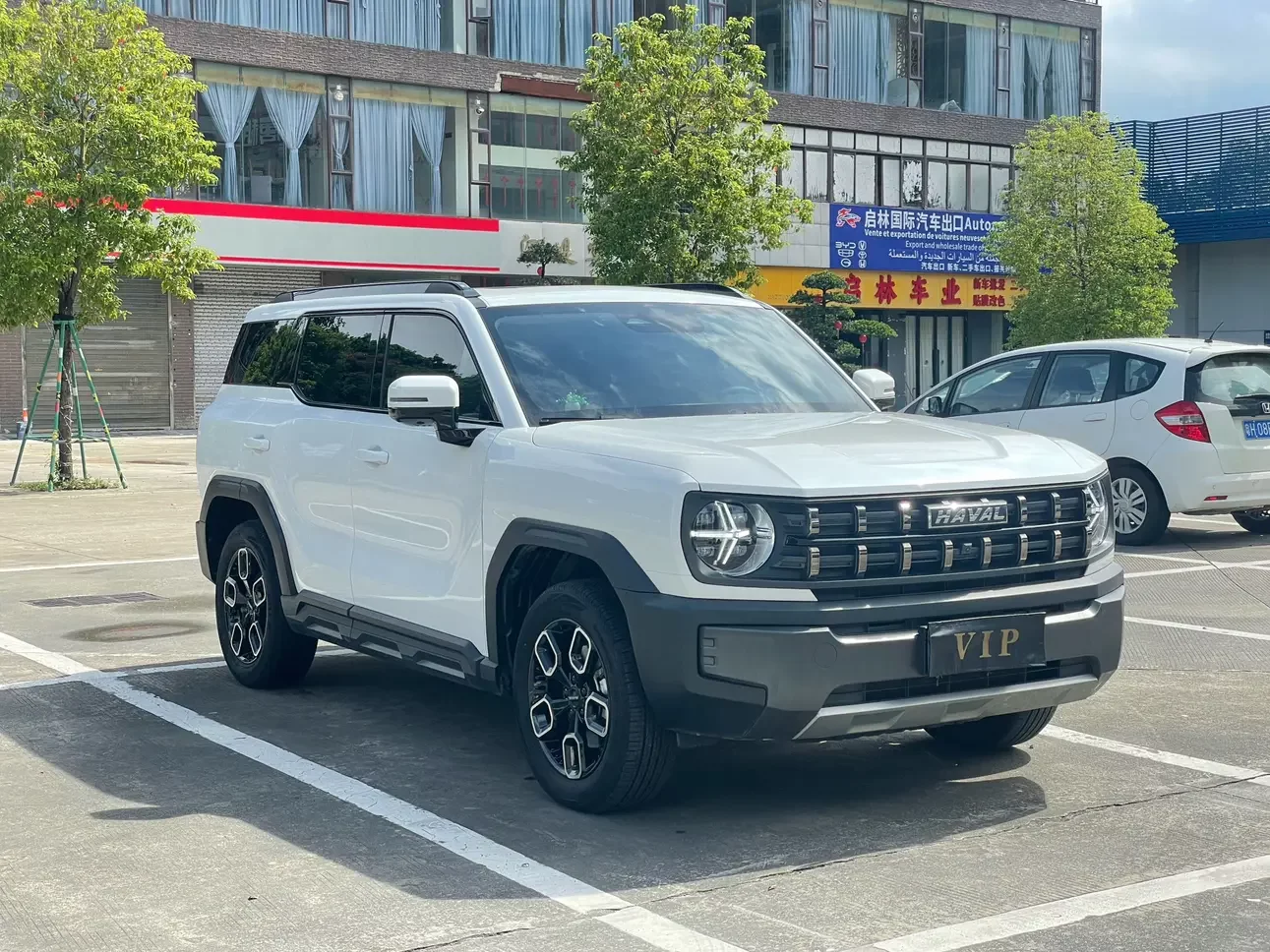 Haval cool dog