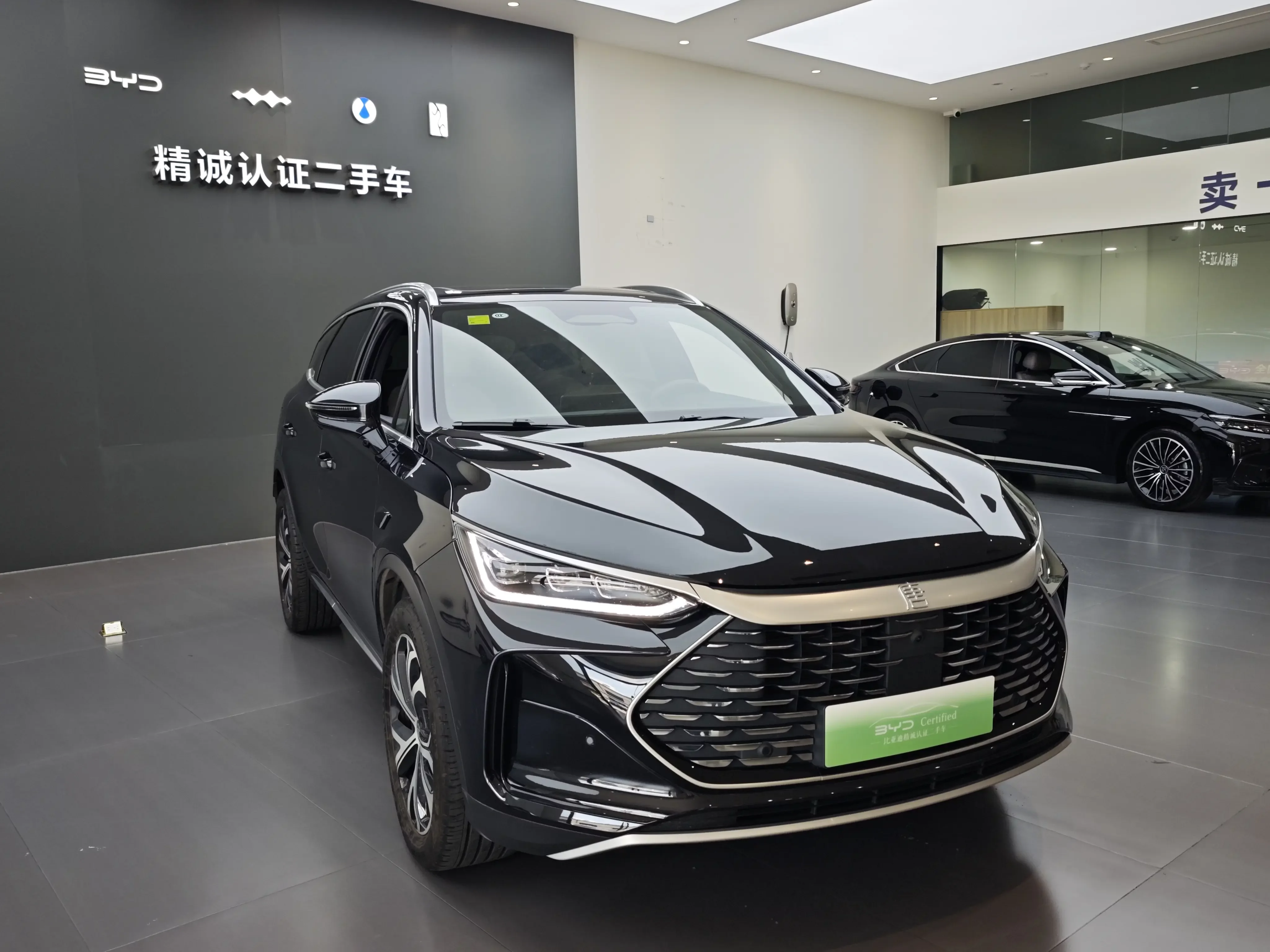 BYD Tang DM