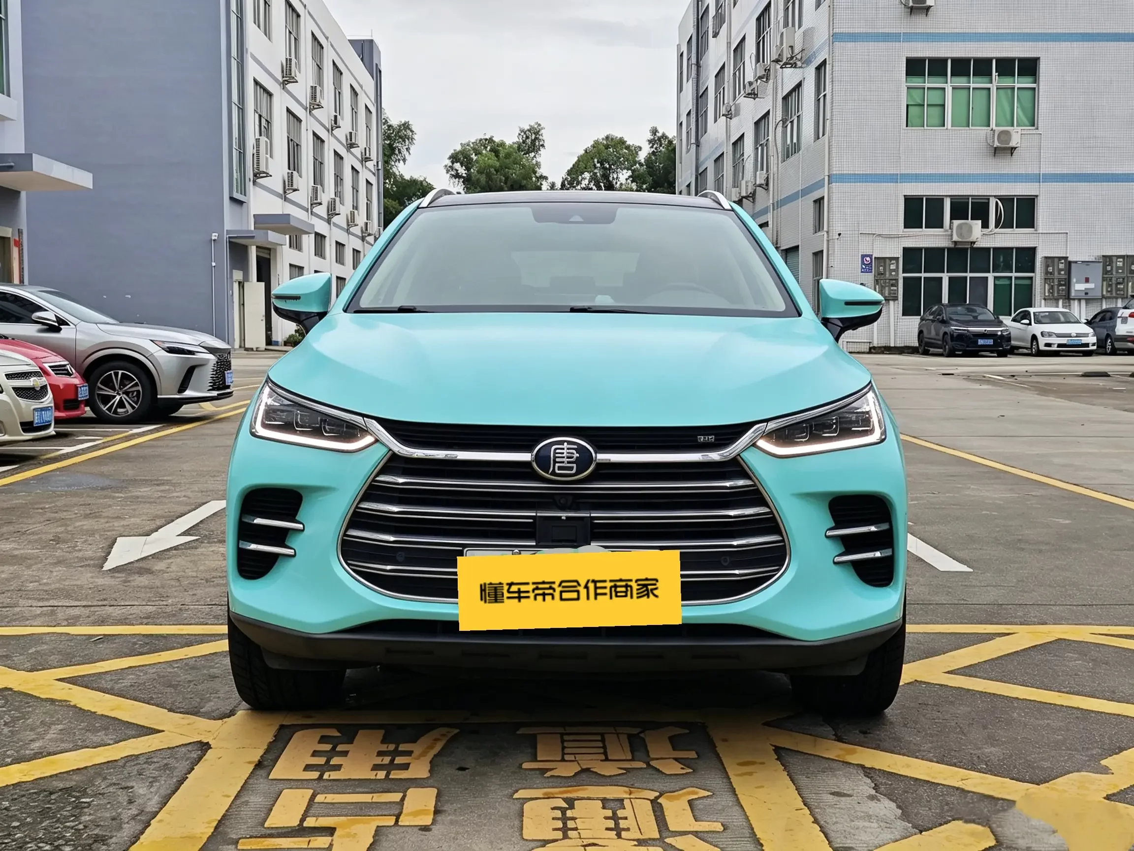 BYD Tang DM