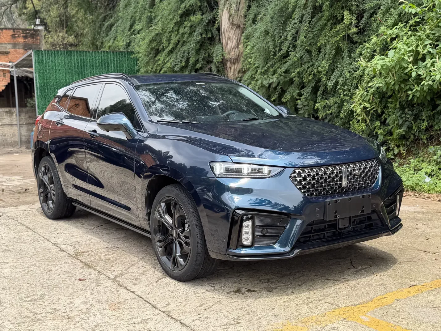 Wey Wei brand VV7