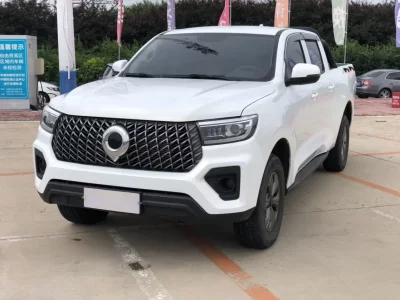 Great Wall Poer, 2023 — купить с доставкой из Китая