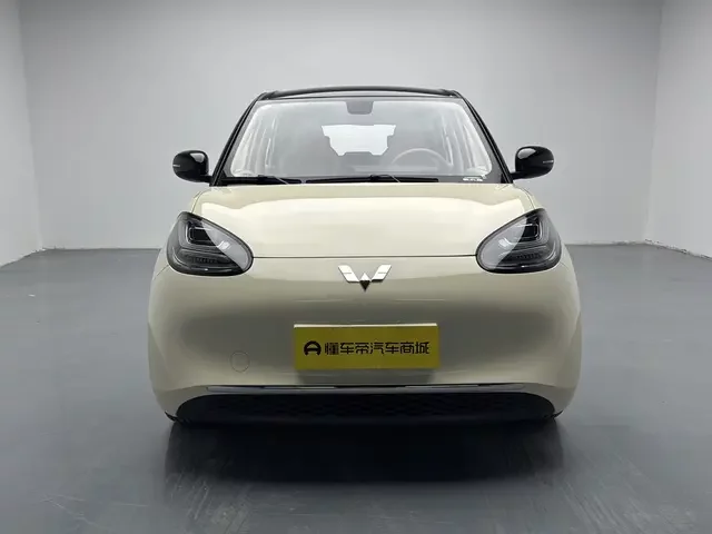 Wuling Bingo