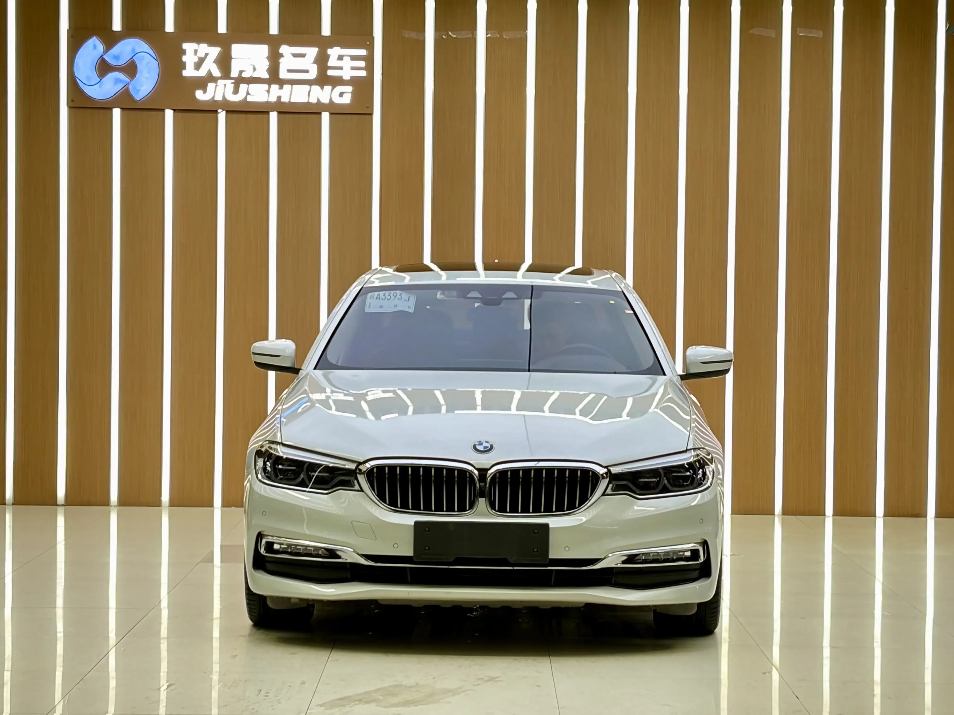 BMW 5 Series PHEV