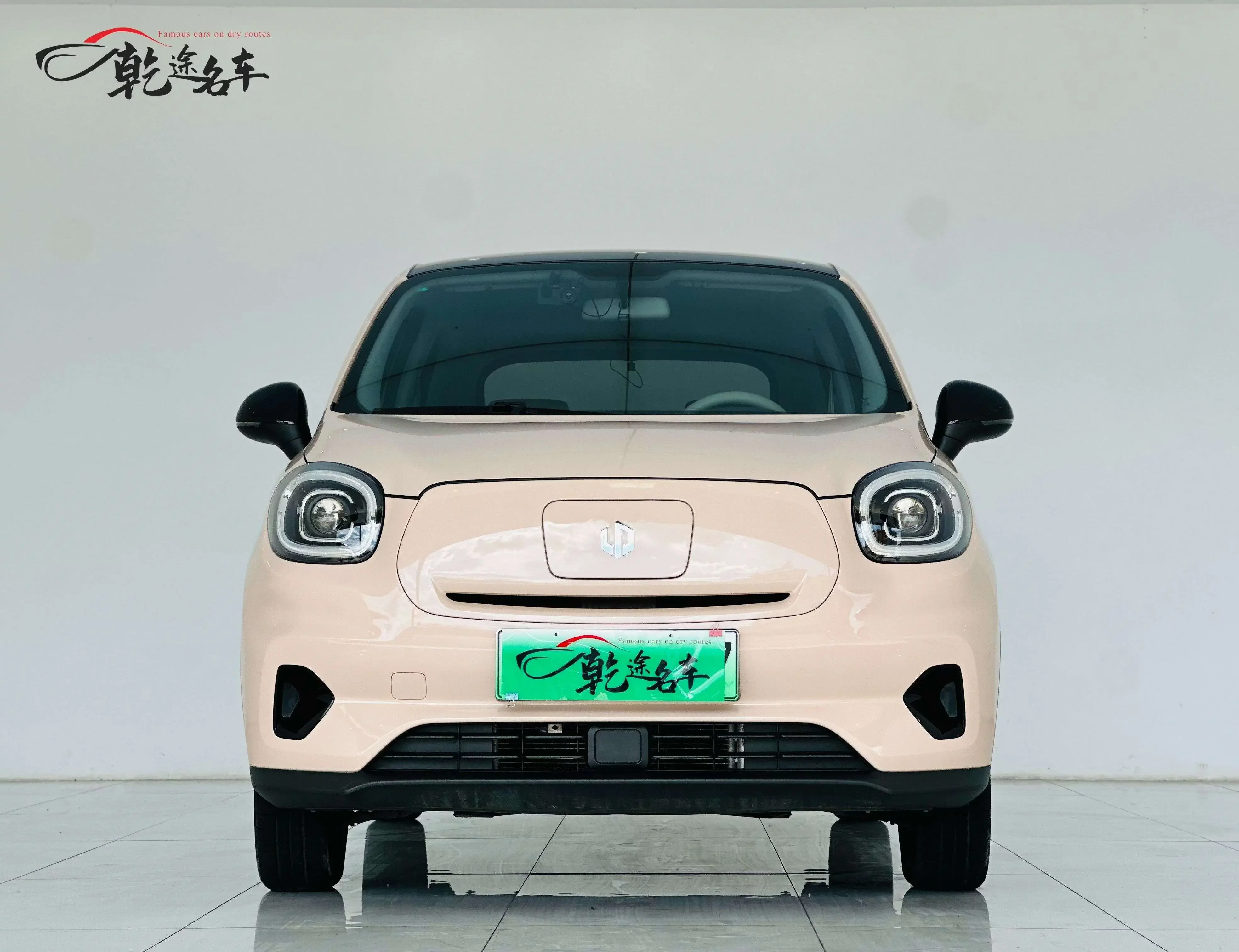 Leapmotor T03