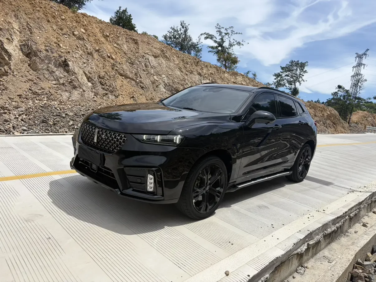 Wey Wei brand VV7
