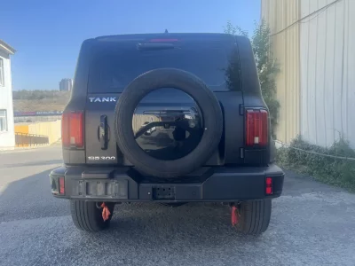 TANK 300