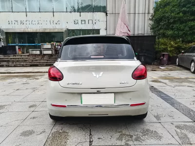 Wuling Bingo