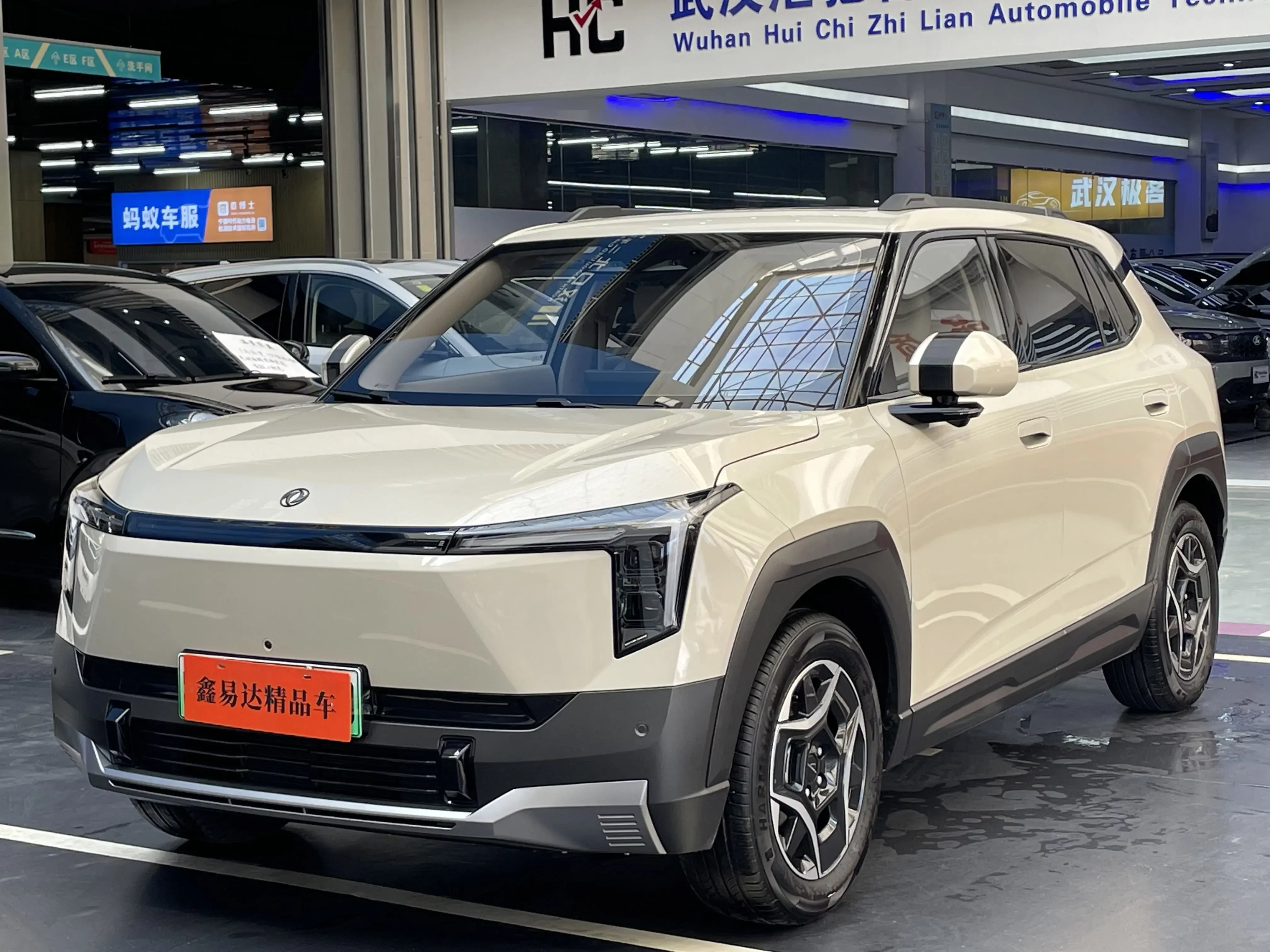 Dongfeng Nano 06