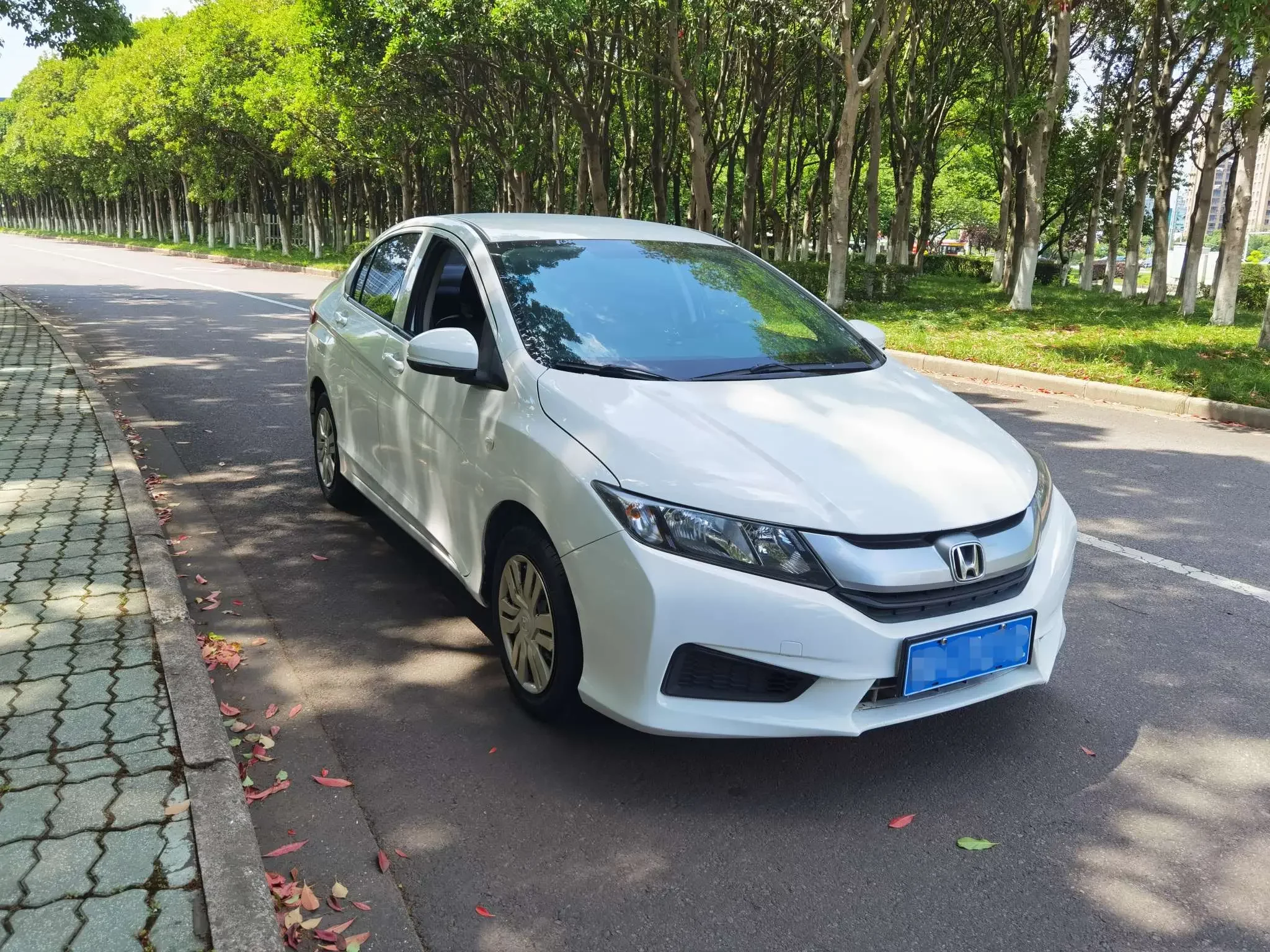 Honda Feng Fan