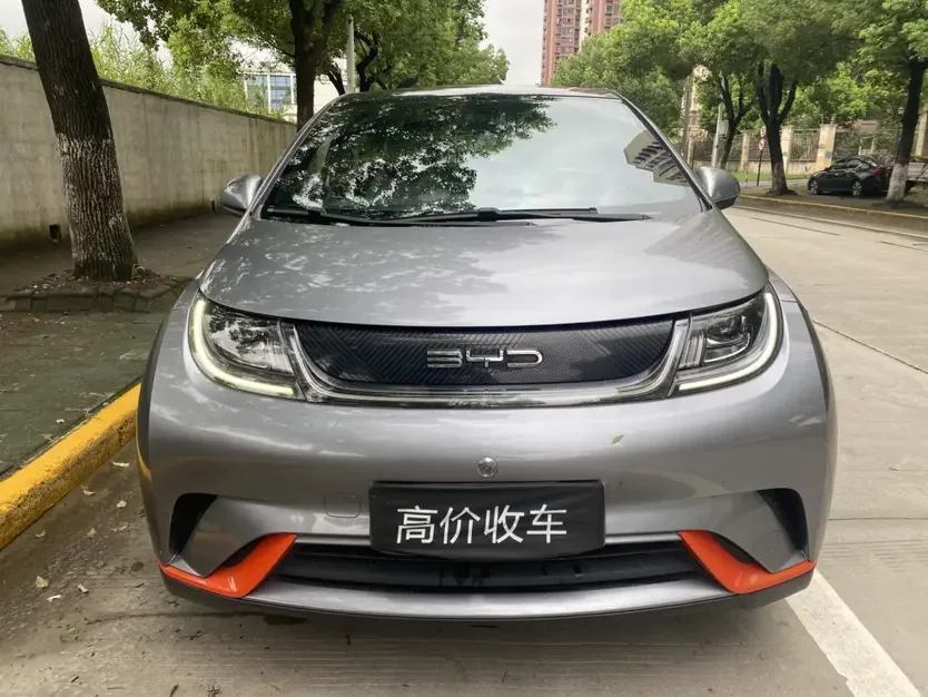 BYD Dolphin