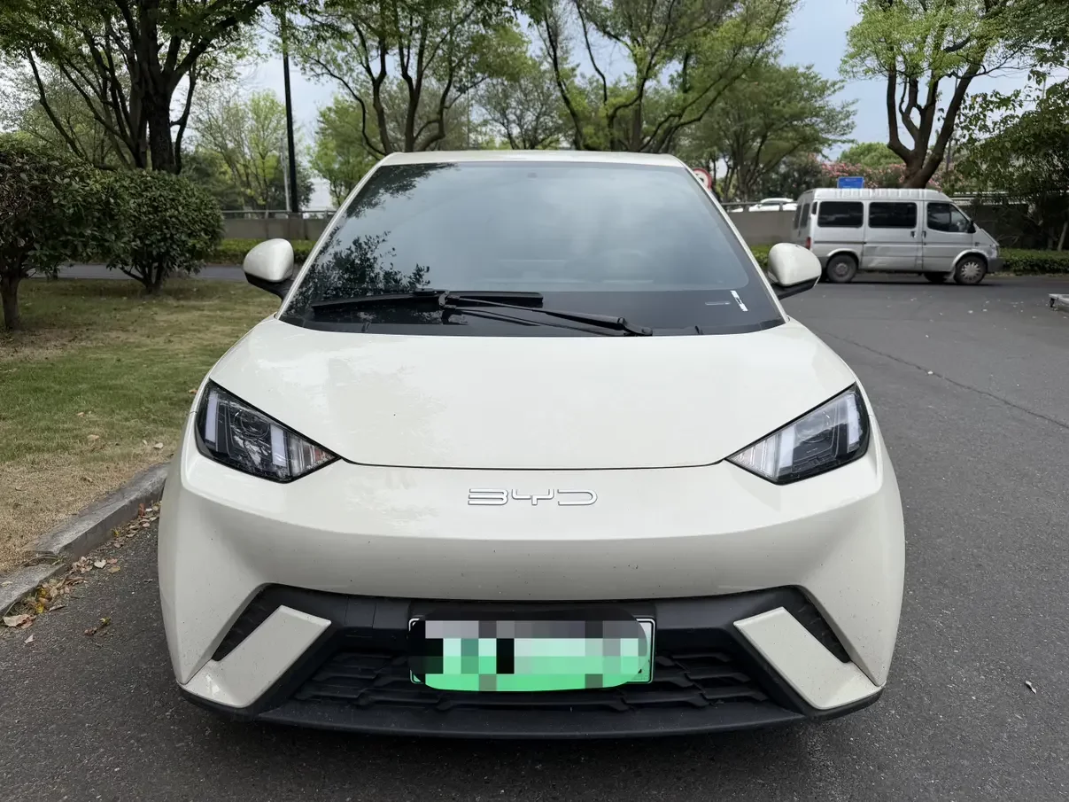 BYD seagull