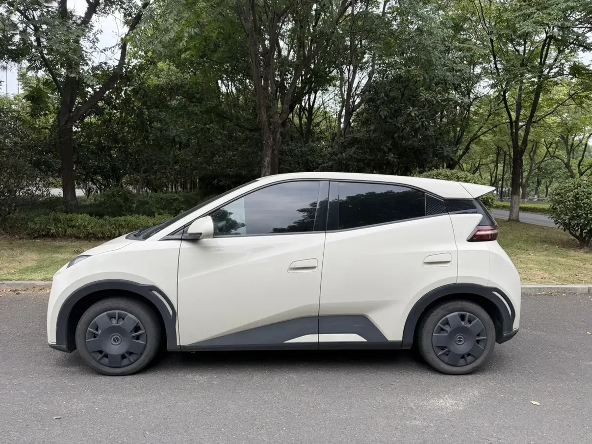 BYD seagull