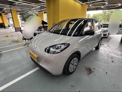 Wuling Bingo