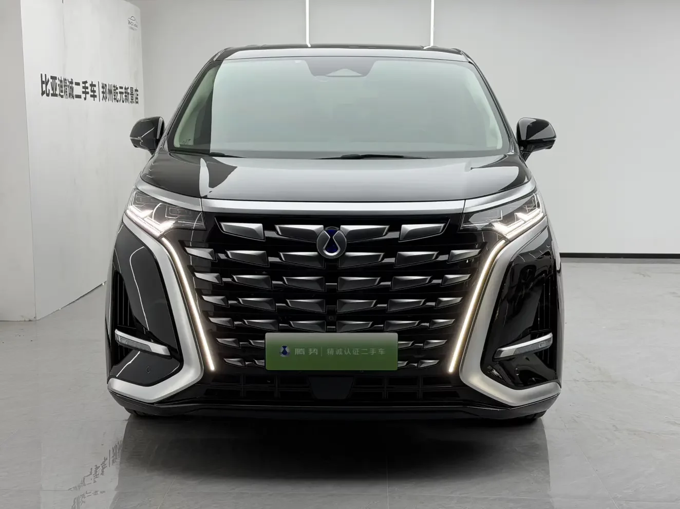 Denza D9 DM