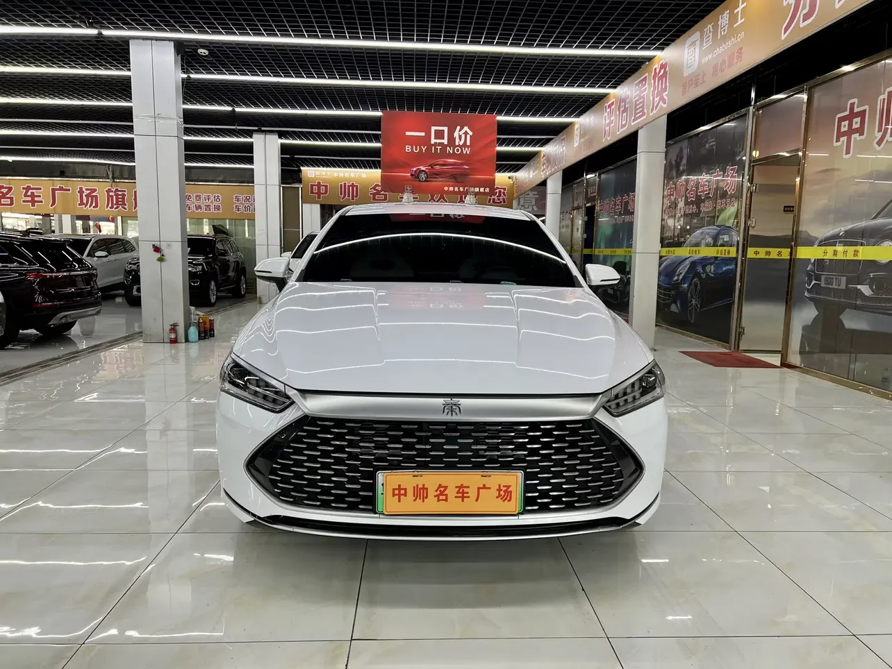 BYD Qin PLUS DM