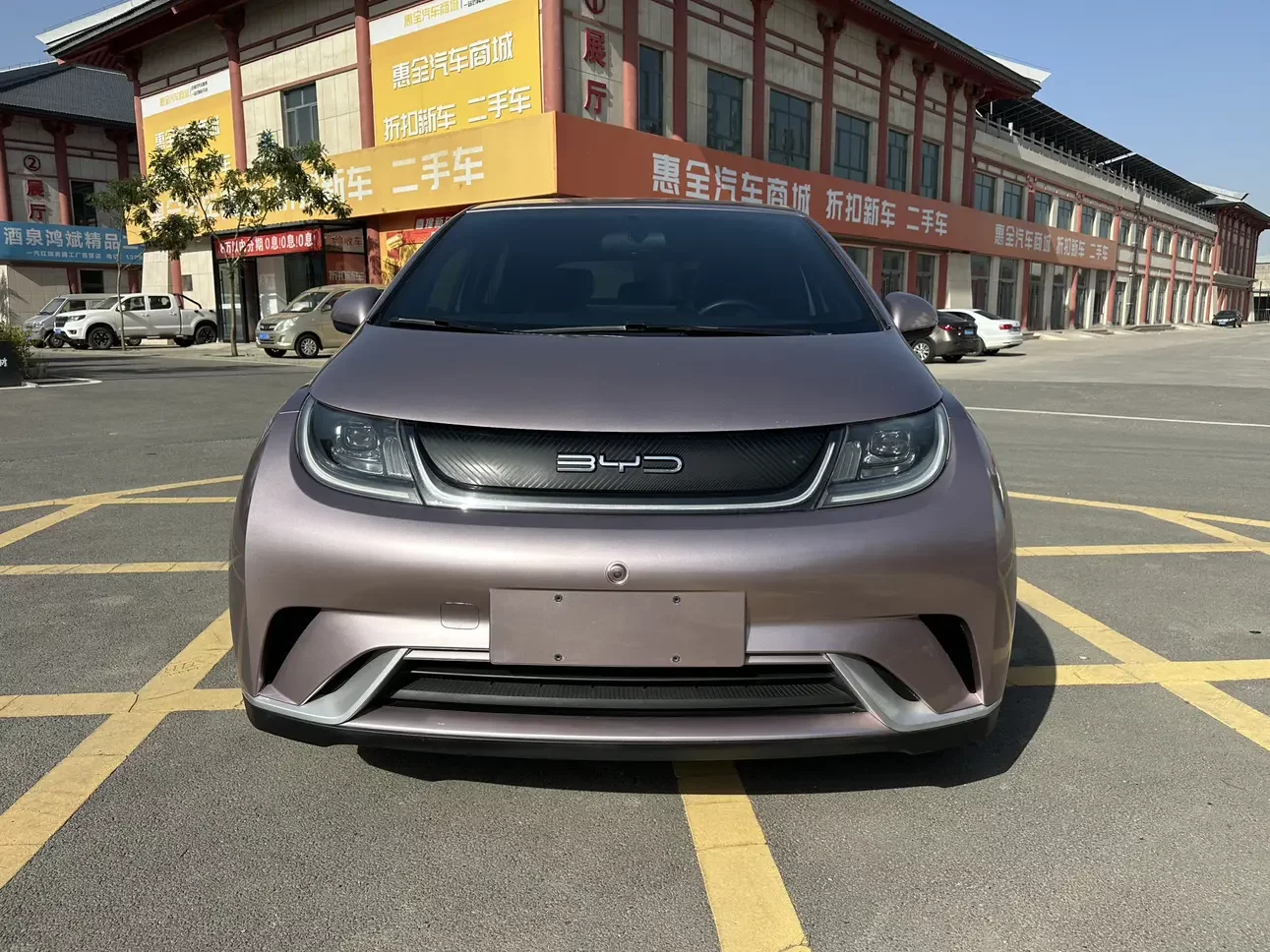 BYD dolphin