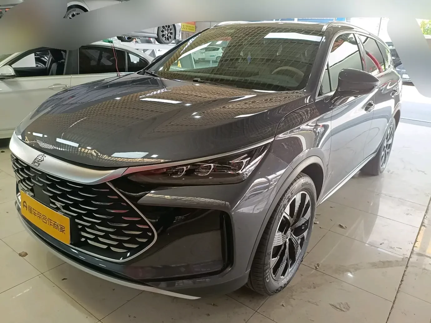 BYD Tang DM