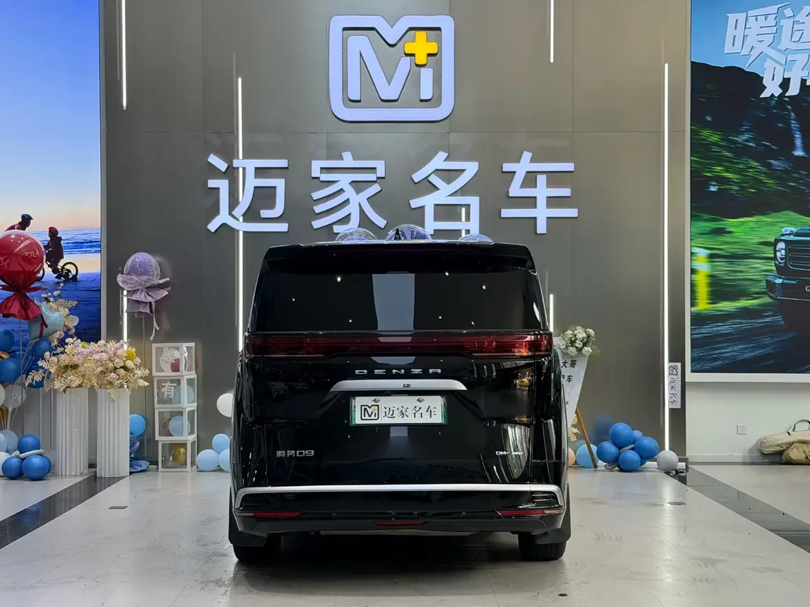 Denza D9 DM