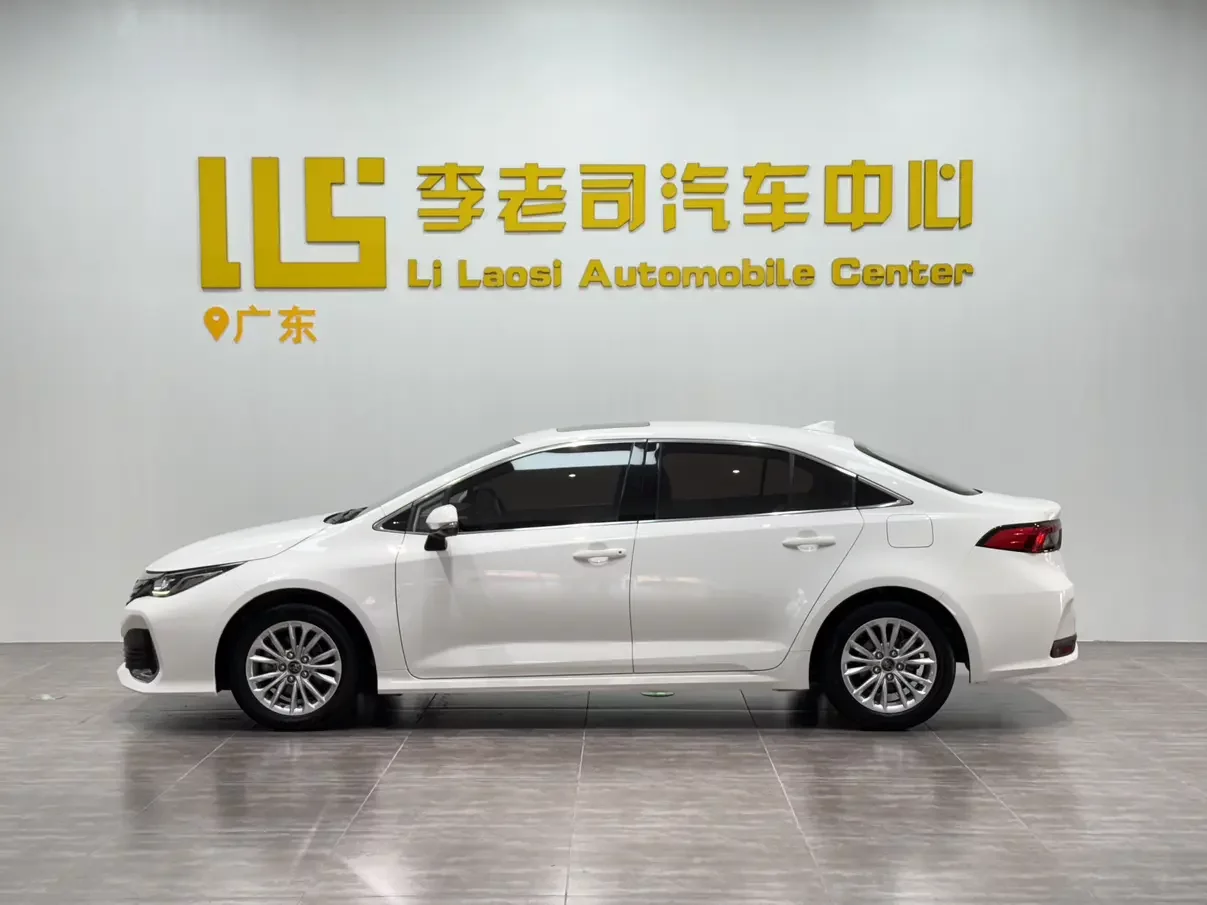 Toyota Asiatic lion