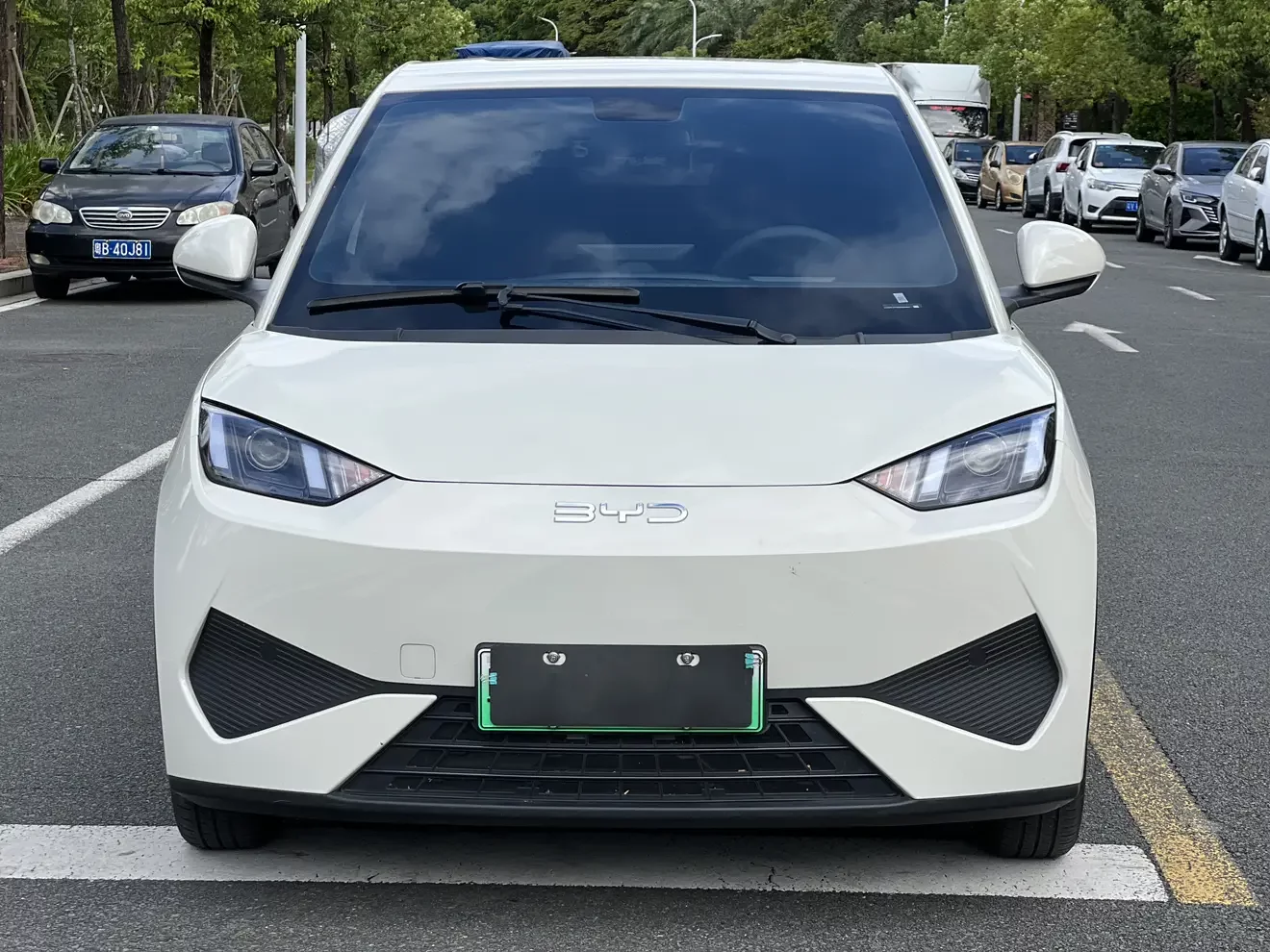 BYD seagull