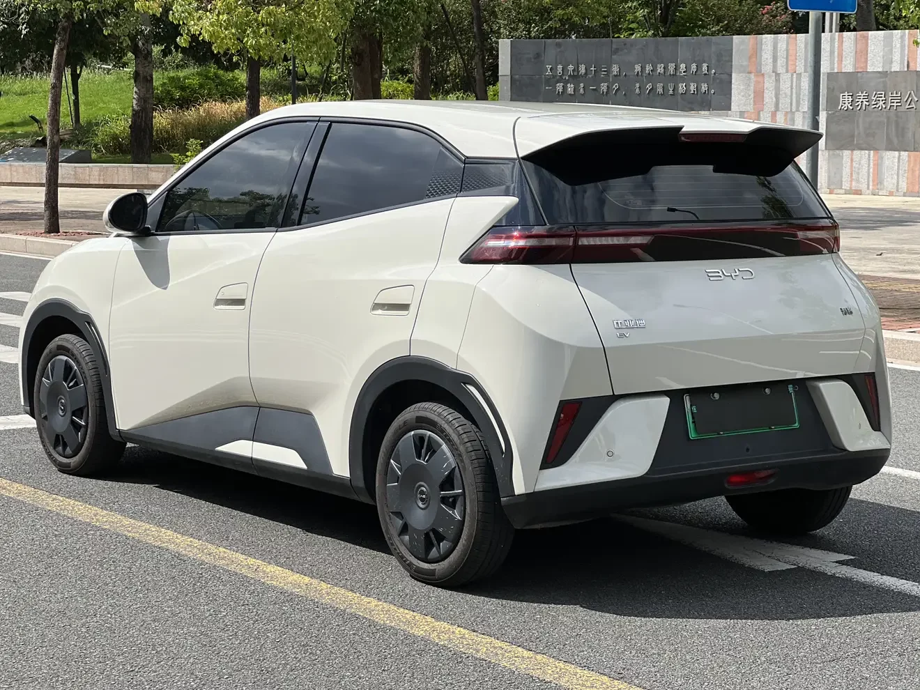 BYD seagull