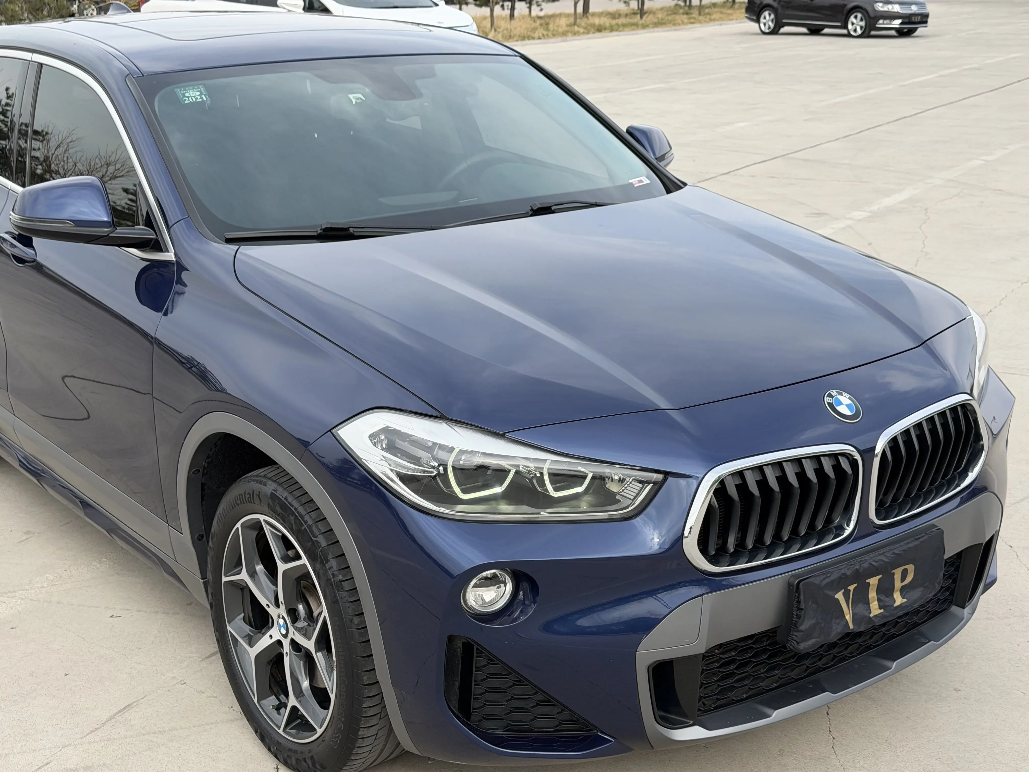 BMW X2