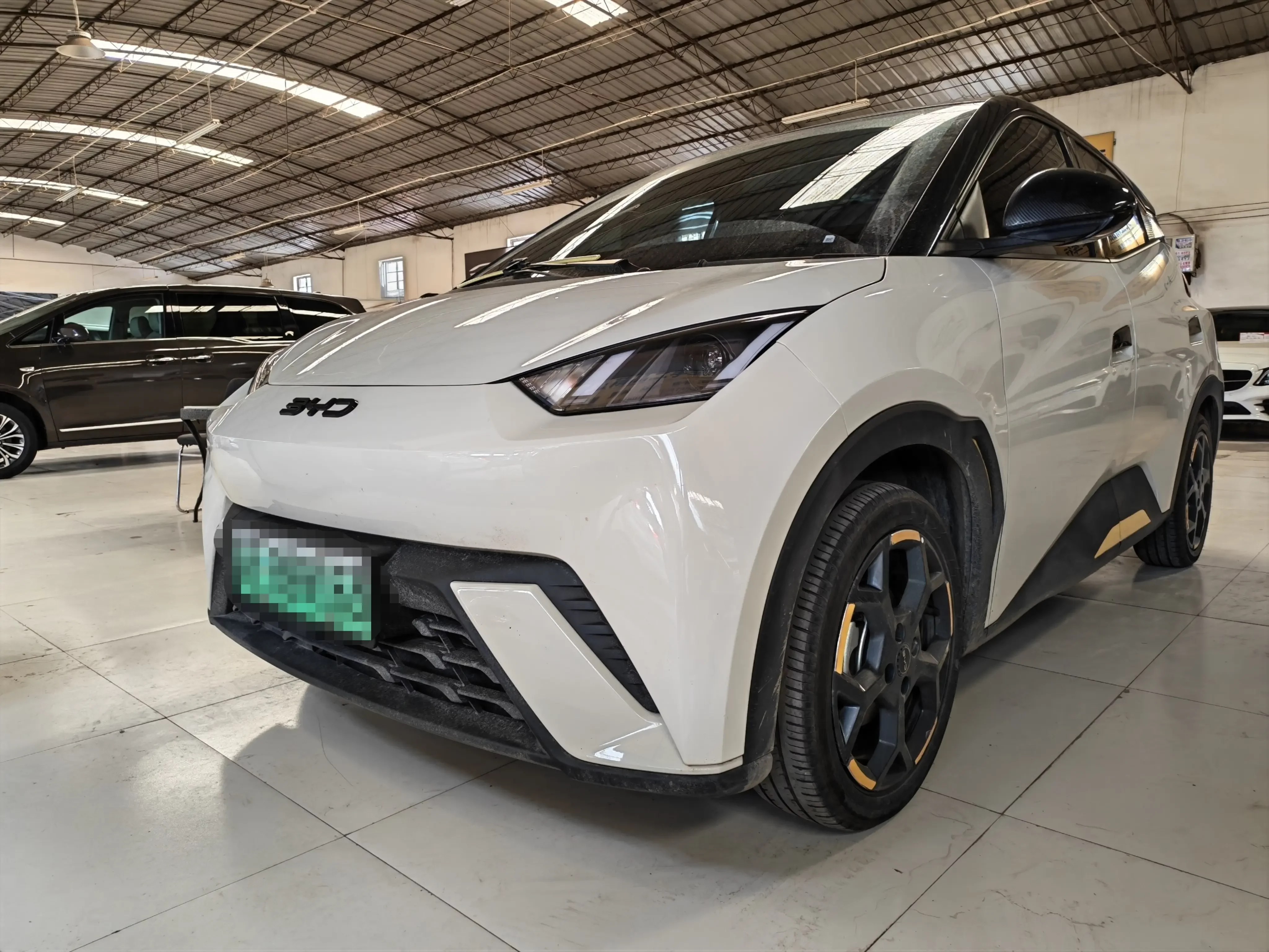 BYD seagull